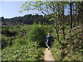 NS0225 : Footpath to Glenashdale Falls by Tim Glover