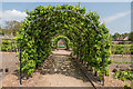 The Kitchen Gardens, West Dean Gardens