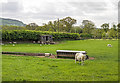 WWII Cheshire: Ladder Stile pillbox, Macclesfield Canal (1)