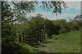 NZ1267 : Kissing gate on the Hadrian's Wall path by Graham Robson