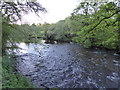 River Dart at The Abbey Inn, Buckfastleigh