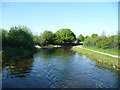 Wyrley & Essington Canal at Birchills Old Stop