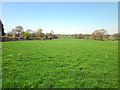 Footpath to Tarvin