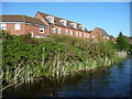 Canalside housing, Water Reed Grove