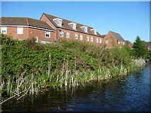 SJ9901 : Canalside housing, Water Reed Grove by Christine Johnstone