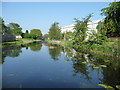 The Wyrley & Essington Canal, looking west at Lane Head