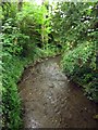 The River Chelt in Sandford Park