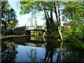 Pinfold or Marstons Bridge, from the east