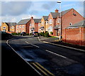 Plas y Ffynnon houses, Wrexham