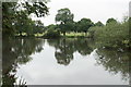 Lake in Pittville Park