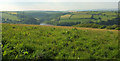 Towards the Avon Estuary 