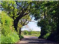 Stoney Lane by Stony Lane Farm