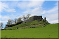 Ruins of Skelbo Castle (2)