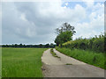 Private road to Hophouse Farm