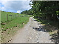 Bridleway track leaving the B4518 near Llidiarddau