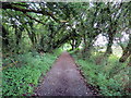 Llwybr Treftadaeth Pontiets / Pontyates Heritage Path