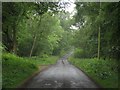 Minor road beside Beaconhill Wood