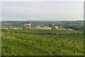 Young trees near Boulby potash mine