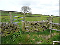 Stile and gate on Hebden Royd FP35, Mytholmroyd