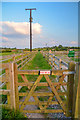 Sedgemoor : Grassy Footpath