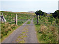 Gate on the road at Braemore