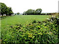 Crosh Townland