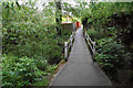 Footbridge over Lilly Brook