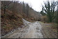 Muddy track, West Wood