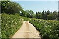 Track near Merton Mill