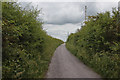 The track to Staining Hall Farm