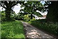 Country road passing Bull Farm