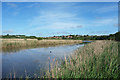 Lake and Reeds, Radipole Reserve