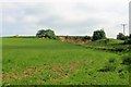 Disused Quarry