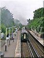 Chelsfield station with passing steam special