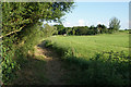 The Severn Way near Meadowlands