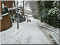 Looking down a snowy Water Tower Hill