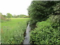 Cock Beck at Low Lead Farm