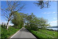 NH5661 : The Old Evanton Road by Tim Heaton