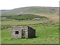 Old quarry hut above Killopeburn Bridge