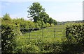 Gate to pasture at Newhall