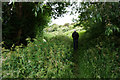 Path leading to Stainforth & Keadby Canal