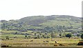 View ENE from the Clontigora Road