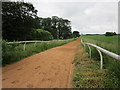 SE4439 : Gallop in Hazlewood Park by Jonathan Thacker