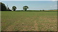 SS4015 : Fields near Bulkworthy Moor by Derek Harper