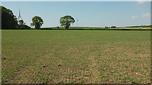 SS4015 : Fields near Bulkworthy Moor by Derek Harper
