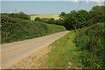 SS3914 : Lane from Bulkworthy by Derek Harper