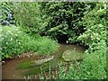 Meander in Doniford Stream