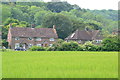 Houses at West Marden seen across crop field