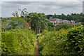 Footpath to Pewley Way