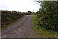 V7461 : Access track near Loughaunacreen by Mick Garratt